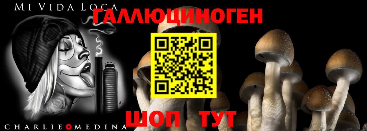 Псилоцибиновые грибы ЛСД  Псилоцибиновые грибы мухоморы  Мичуринск  Вход с VPN 